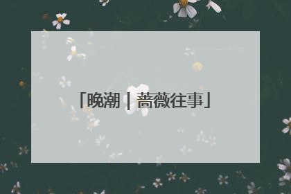 晚潮｜蔷薇往事
